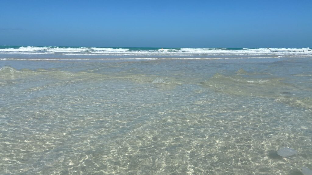 AMA-NEWS-ViaggioEmiratiArabi2022-img-1