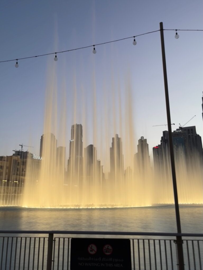 AMA-NEWS-ViaggioEmiratiArabi2022-img-14